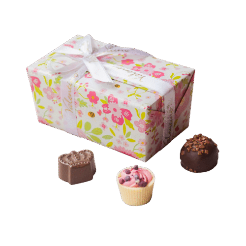 Балотин "Пролет" 340 гр от Valentino Chocolatier България. Продукти от истински белгийски шоколад.