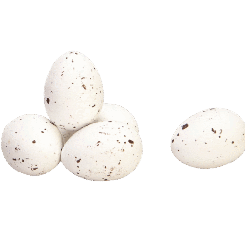 Шоко пъдпъдъчи яйца от Valentino Chocolatier България. Продукти от истински белгийски шоколад.