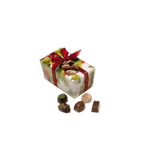 Джингъл Балотин 460 гр от Valentino Chocolatier България. Продукти от истински белгийски шоколад.